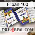 Fliban 100 12